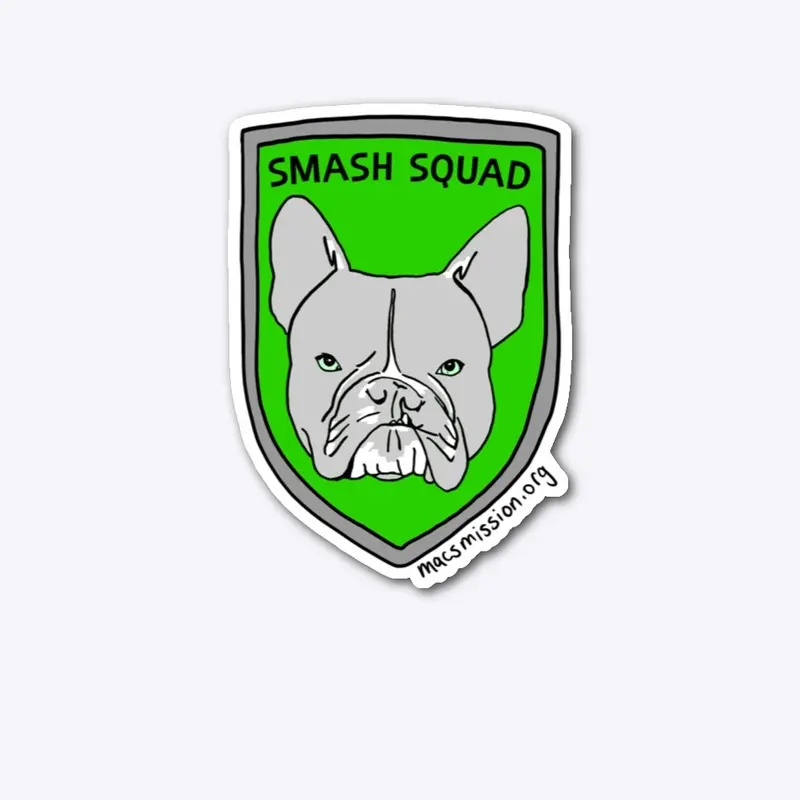 Echo's Smash Squad 